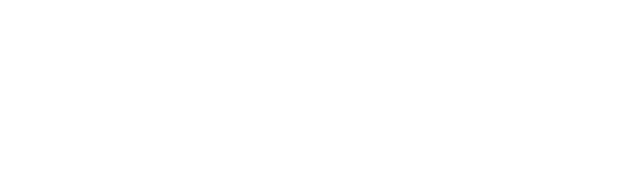 Logo at footer